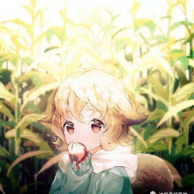 A股白酒股逆势拉升
